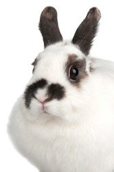 Similar image 595459