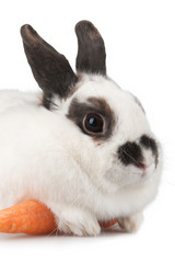 Similar image 595461