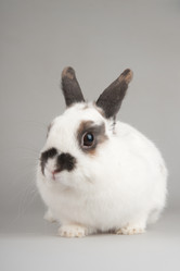 Similar image 595463