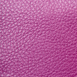 Similar image 595465