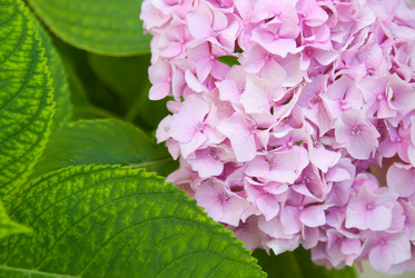 Similar image 595495