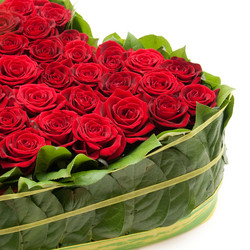 Similar image 595501