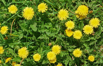 Similar image 595503