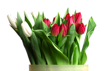 Similar image 595527