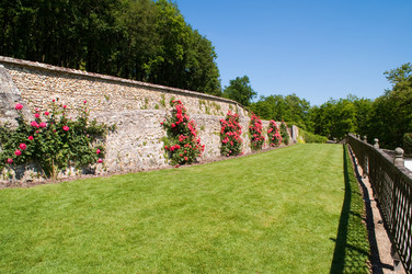 Similar image 595618