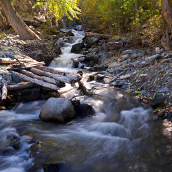 Similar image 595643