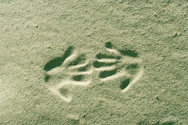 Similar image 595781