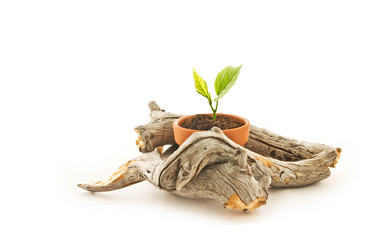 Similar image 595787