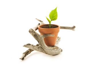 Similar image 595788