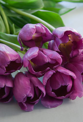 Similar image 595800