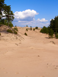 Similar image 595841