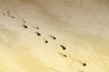 Similar image 595892