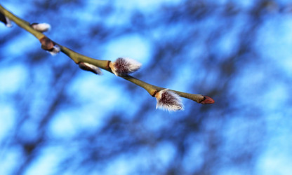 Similar image 595929