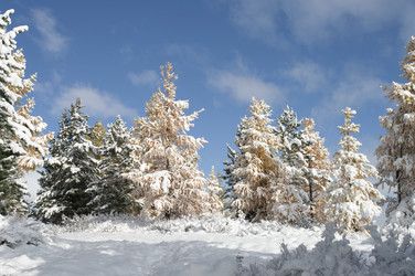 Similar image 595944