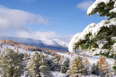 Similar image 595949