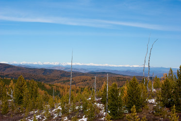 Similar image 595970