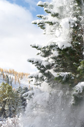 Similar image 595994