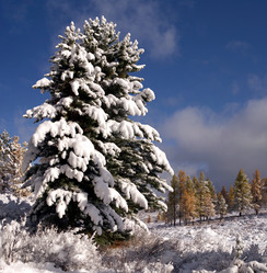 Similar image 596011