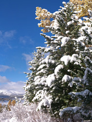 Similar image 596014