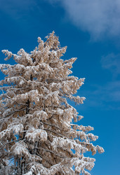 Similar image 596085