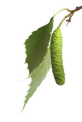 Similar image 596086