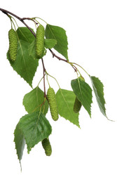 Similar image 596104