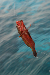 Similar image 596112