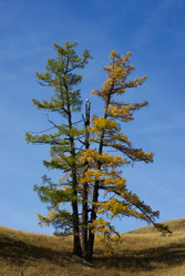 Similar image 596116