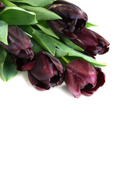 Similar image 596117