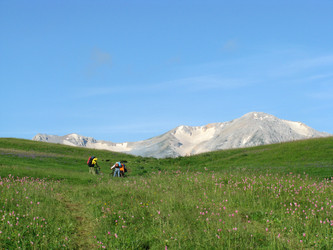 Similar image 596118