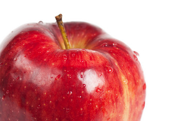 Similar image 596172