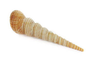 Similar image 596357