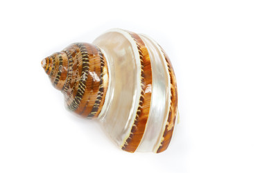 Similar image 596359