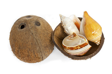 Similar image 596381