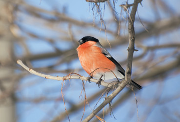 Similar image 596433