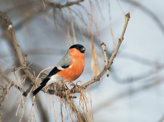 Similar image 596434