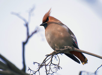 Similar image 596457