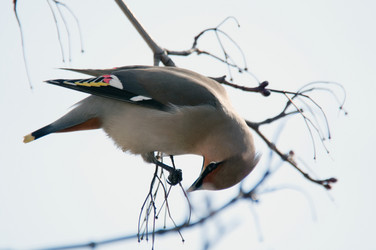 Similar image 596458