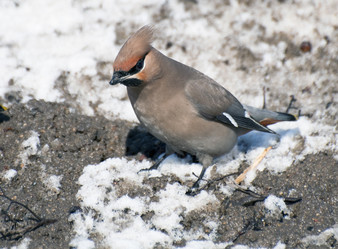 Similar image 596460