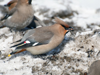 Similar image 596461