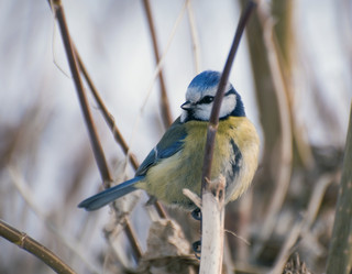 Similar image 596462