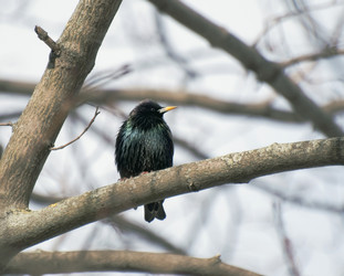 Similar image 596469