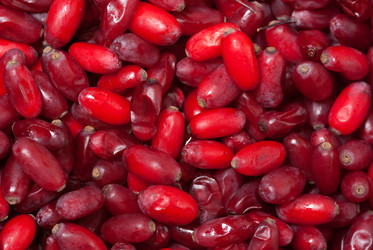 Similar image 596473