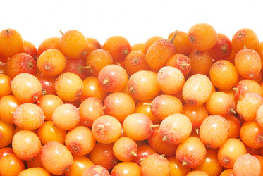 Similar image 596478