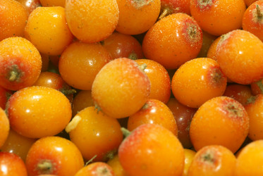 Similar image 596480