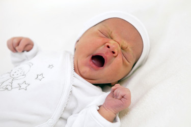 Similar image 596520