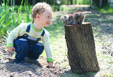 Similar image 596538