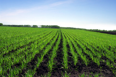 Similar image 596575