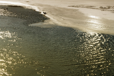 Similar image 596599