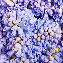 Similar image 596605